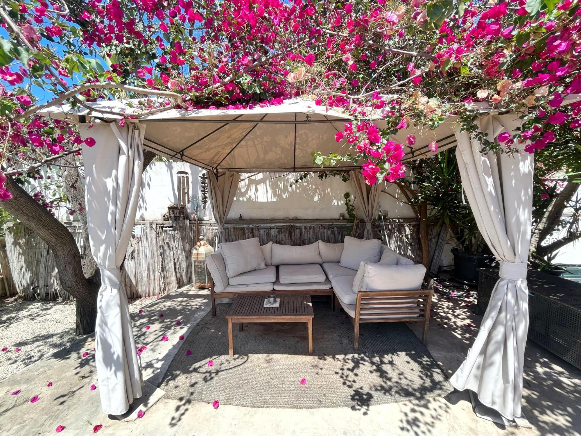 Casa Limon Semesterbostad Palma de Mallorca